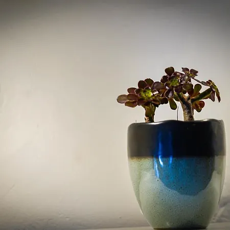 Traditional Chora House Дом отдыха