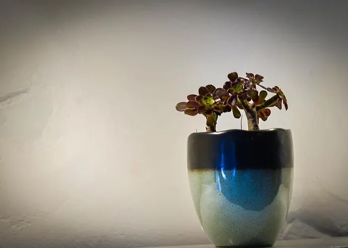 Traditional Chora House Case de vacanță