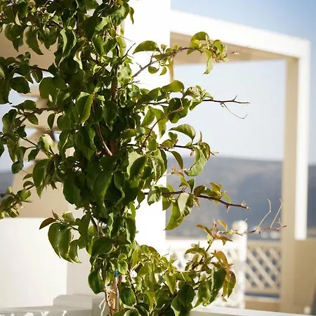 Traditional Chora House Astypalaia