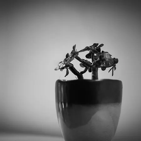 Holiday home Traditional Chora House Astypalaia