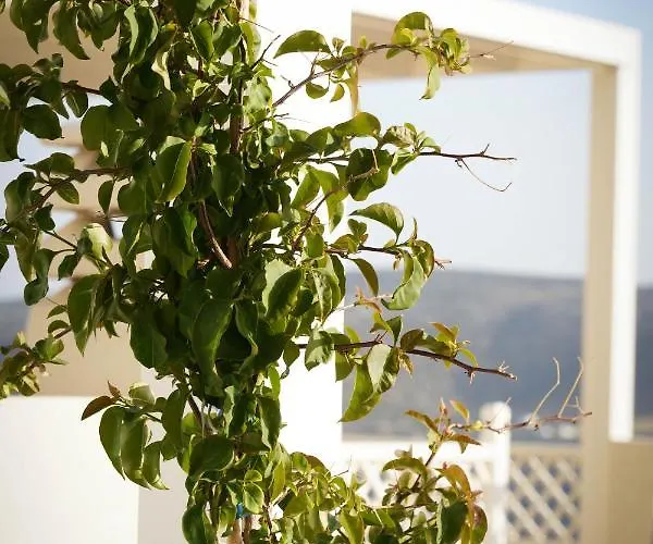 Traditional Chora House Astypálaia