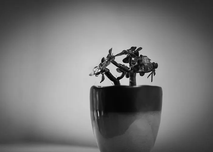 Nyaraló Traditional Chora House Astypálaia